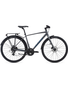 Giant Escape 2 City large Grå