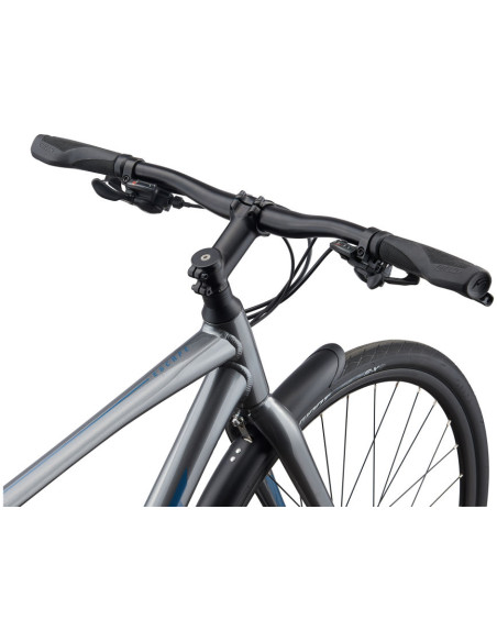 Giant Escape 2 City large Grå