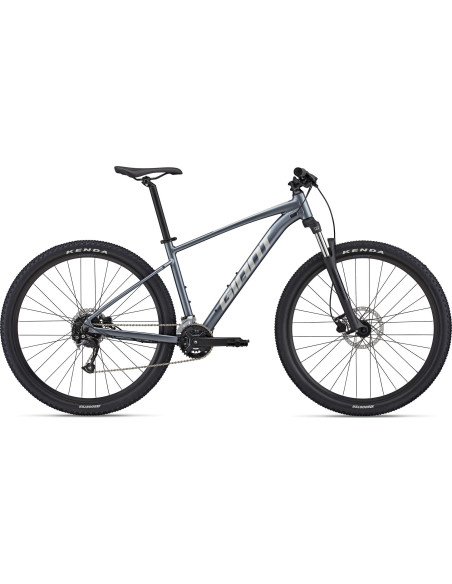 Giant Talon 2 29" silver
