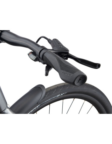 Giant Escape 2 City small Grå Giant Escape 2 City small Grå