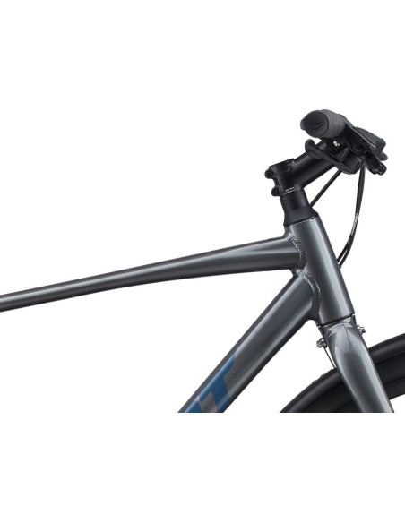 Giant Escape 2 City x-large Grå