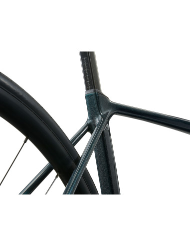 Giant TCR Advanced 1 Giant TCR Advanced 1