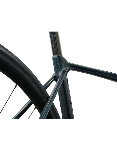 Giant TCR Advanced 1