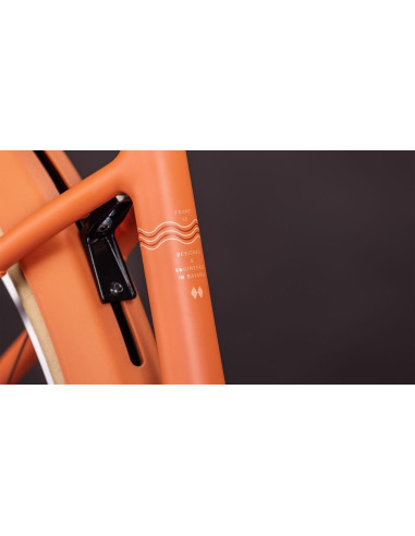 Cube Aruba Hybrid 600 50cm papaya Cube Aruba Hybrid 600 50cm papaya