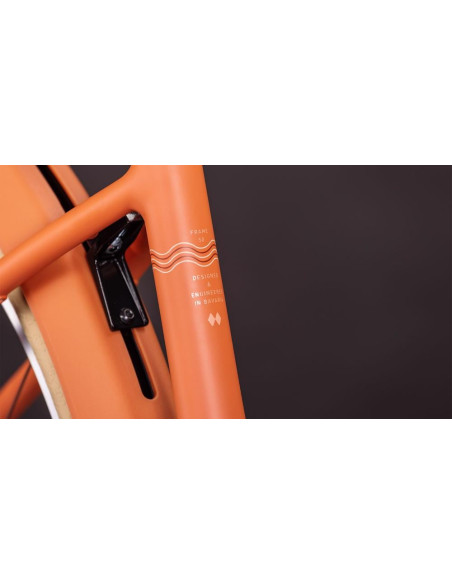 Cube Aruba Hybrid 600 50cm papaya