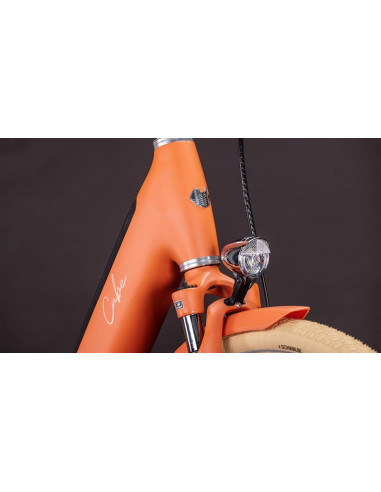 Cube Aruba Hybrid 600 50cm papaya Cube Aruba Hybrid 600 50cm papaya