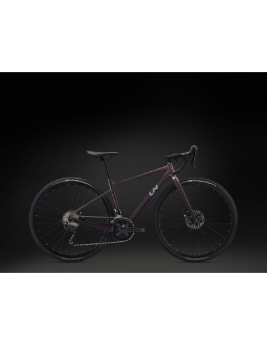 Liv Devote 1 Large