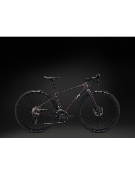 Liv Devote 1 Large