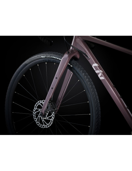 Liv Devote 1 Large