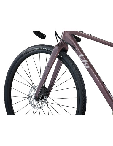 Liv Devote 1 Large
