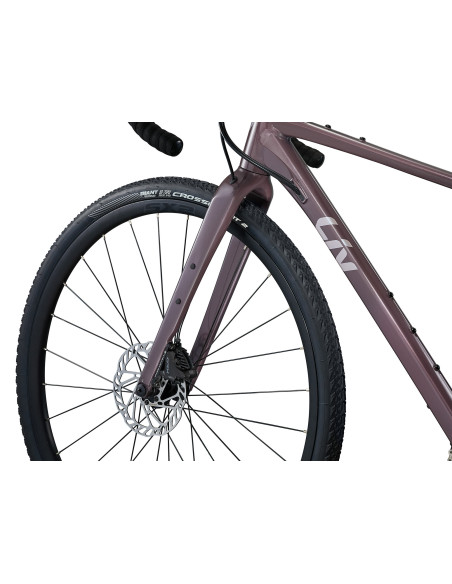 Liv Devote 1 Large