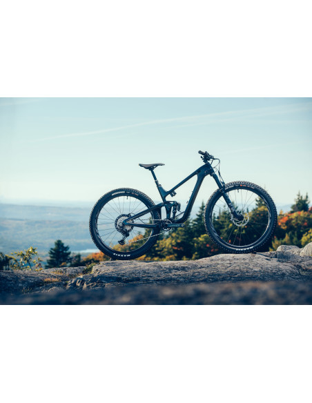 Giant Trance Advanced Pro 29 1 Large